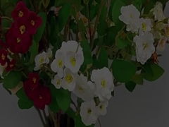 زهرة الوردة المحاكاة الحدود العابرة متعددة الرؤوس زهرة محاكاة الزهرة الاصطناعية باقة الزفاف