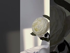 محاكاة الزهرة الفردية مانتا وردة باقة إطلاق النار الوسائط، الديكور الشمالي المنزل العرس باقة cr