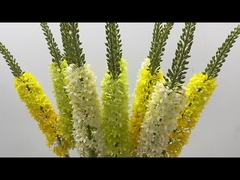 الزخرفة ذيل الثعلب العشب محاكاة الزهرة المنزل غرفة المعيشة ذيل الحصان الزهرة الطائرة البجعة العشب