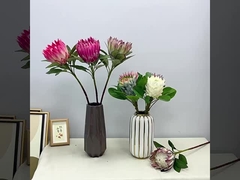 محاكاة لون الربيع فيلم إطلاق النار على زهرة الملك إمبراطور زهرة منزل زينة زهرة مزيفة زفاف