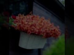 ديكورات المهرجانات في الهواء الطلق، النباتات الخريفية، أوراق النخيل الاصطناعية، البنفسجية النخيل، البنفسجية