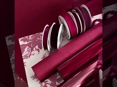 2024 عنصر أحمر أنكيلا