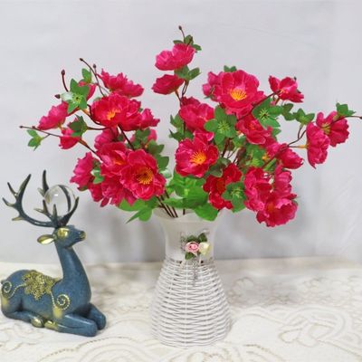 شراء حفلات الزفاف، أدوات التصوير، الزخرفة الداخلية والخارجية مع أزهار الخوخ الواقعية تصنيع عبر الإنترنت