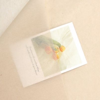 شراء Effortlessly Elegant Korean-Style Copy Paper for Flower Wrapping and Gift Packaging تصنيع عبر الإنترنت