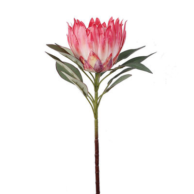 سعر جيد تمثيل لون الربيع للملك مشاهد إطلاق النار على زهرة الإمبراطور زهرة منزل مزيف زينة زهرة زفاف ملك زهرة تمثيل زهرة الانترنت