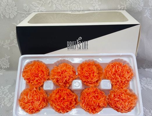 سعر جيد رؤوس زهور القرنفل الأبدي، 8 قطع مواد DIY بالجملة، هدية متميزة لليوم الأم، بوكيت زهور وردة مجففة الانترنت